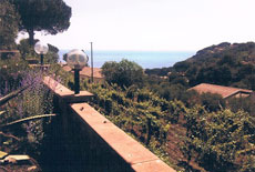 Meerblick von der Terrasse, Appartamenti Casa Marianna, Capoliveri, Insel Elba