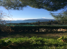 Garten, Casa Elli, Capoliveri, Insel Elba