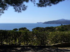 Garten, Casa Elli, Capoliveri, Insel Elba