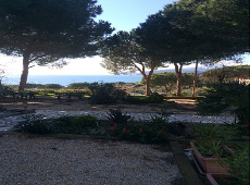 Garten, Casa Elli, Capoliveri, Insel Elba