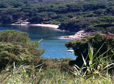 Doppelhaus Suosogno, Capoliveri, Insel Elba