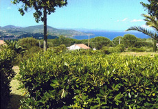 Ferienhaus Casa Ibba Nr. 5, Capoliveri, Insel Elba