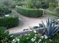 Garten, Ferienhaus Casa Lele, Capoliveri, Insel Elba