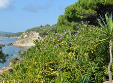 Ferienwohnungen Villa Agave, Capoliveri, Insel Elba