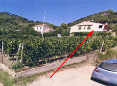 Ferienwohung, Winzer Pepe, Marina di Campo, Insel Elba