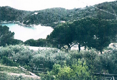 Casa Paolo, Insel Elba, Immobilie