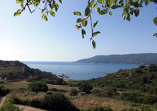 Ferienwohnungen Casa Laghetto, Porto Azzurro, Insel Elba