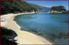 Villa Mimosa in Procchio, nur 30 zum Meer am Paolinafelsen