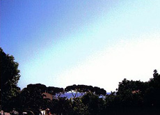 Meerblick, Ferienwohnung Catta, Seccheto, Insel Elba