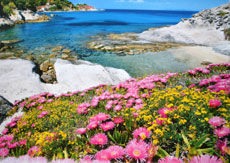 Strand, Ferienhaus Casa Bella, Zanca, Insel Elba